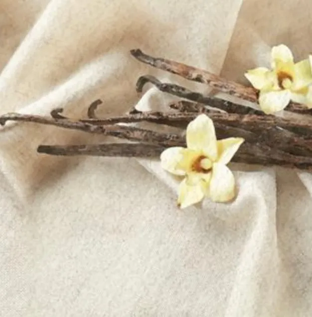 Airome Essential Oil Vanilla Dreams