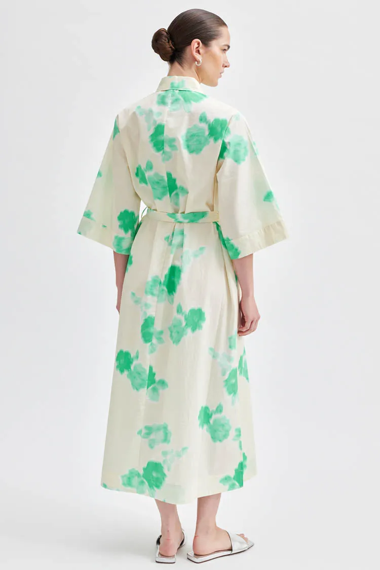 Kamna Printed Maxi Dress in Springbud