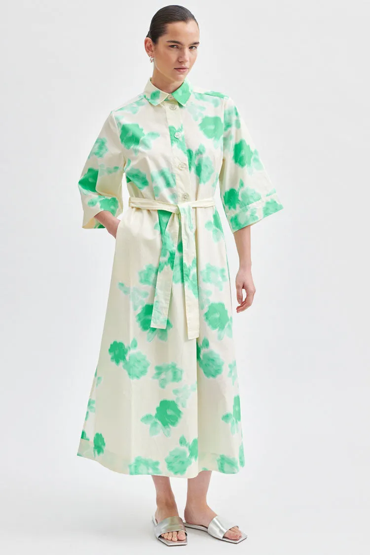 Kamna Printed Maxi Dress in Springbud