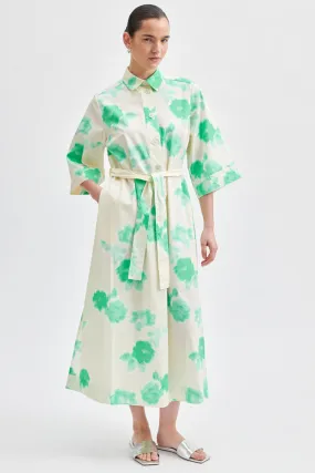 Kamna Printed Maxi Dress in Springbud