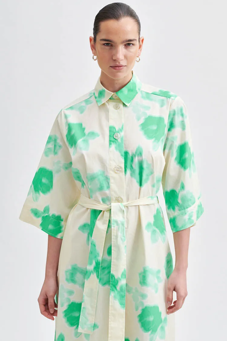 Kamna Printed Maxi Dress in Springbud