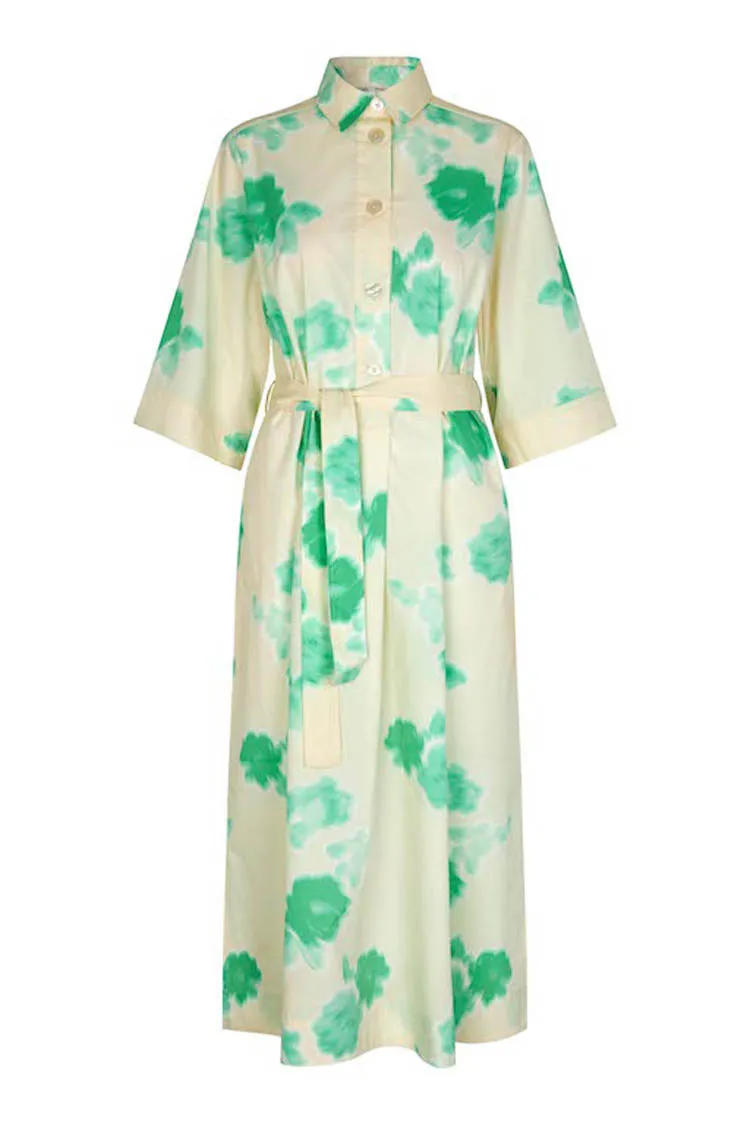 Kamna Printed Maxi Dress in Springbud
