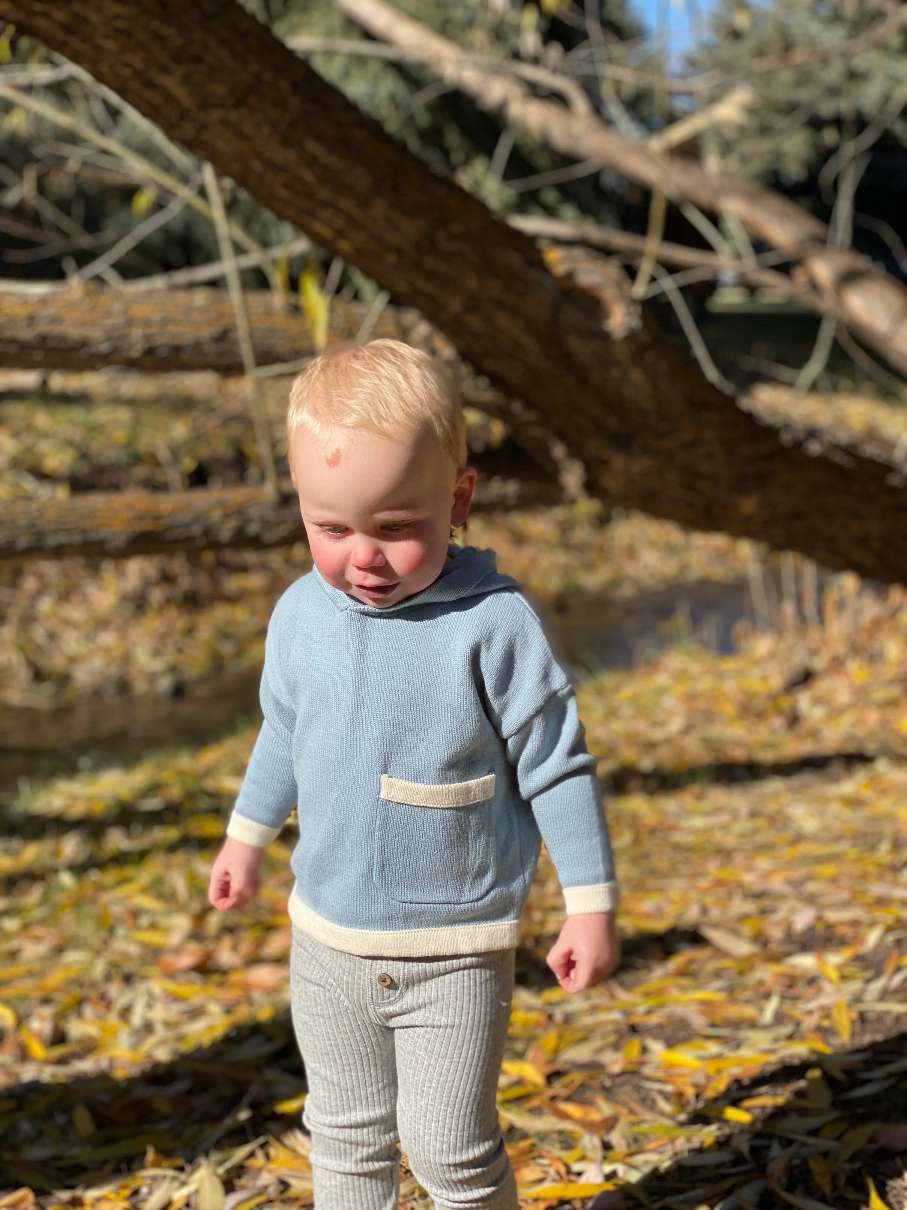 Kew leggings in grey knit