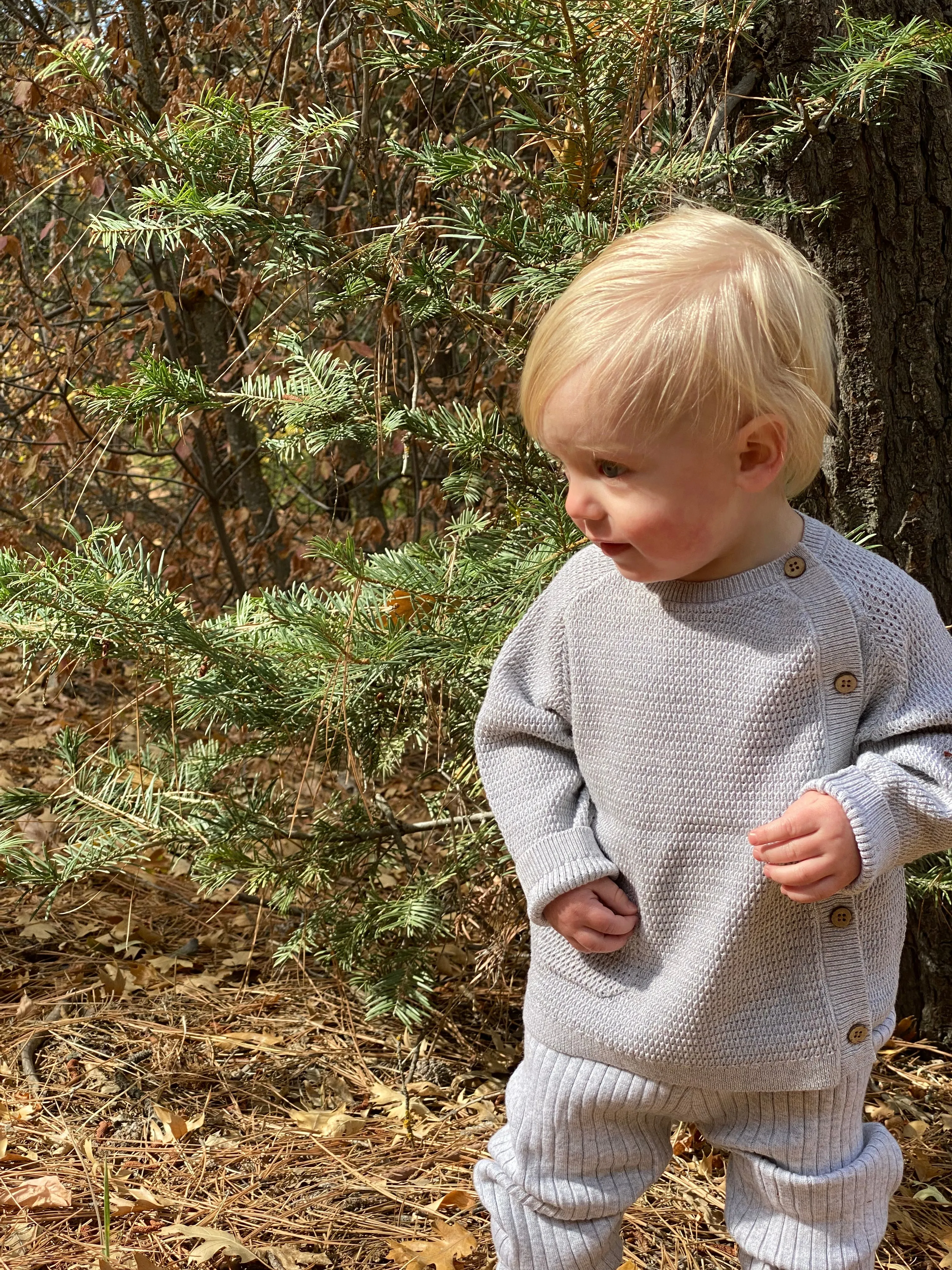 Kew leggings in grey knit